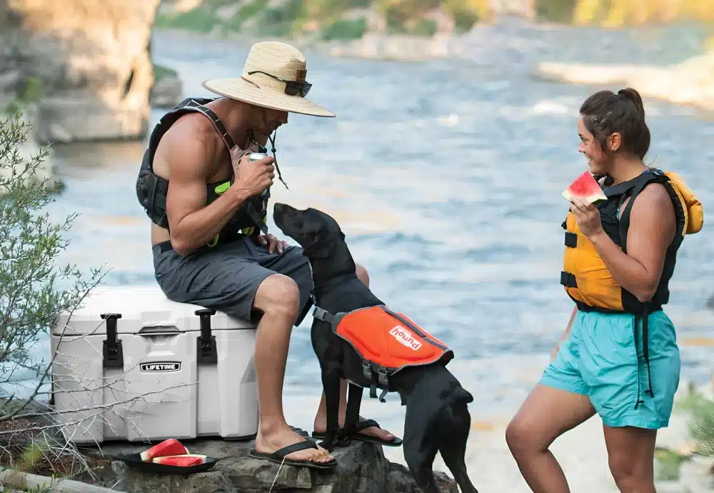 portable cool box fridge