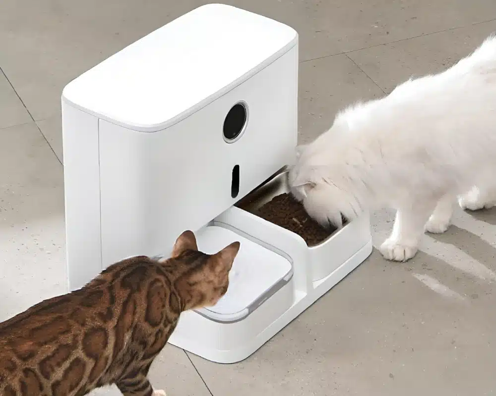 pet automatic feeder