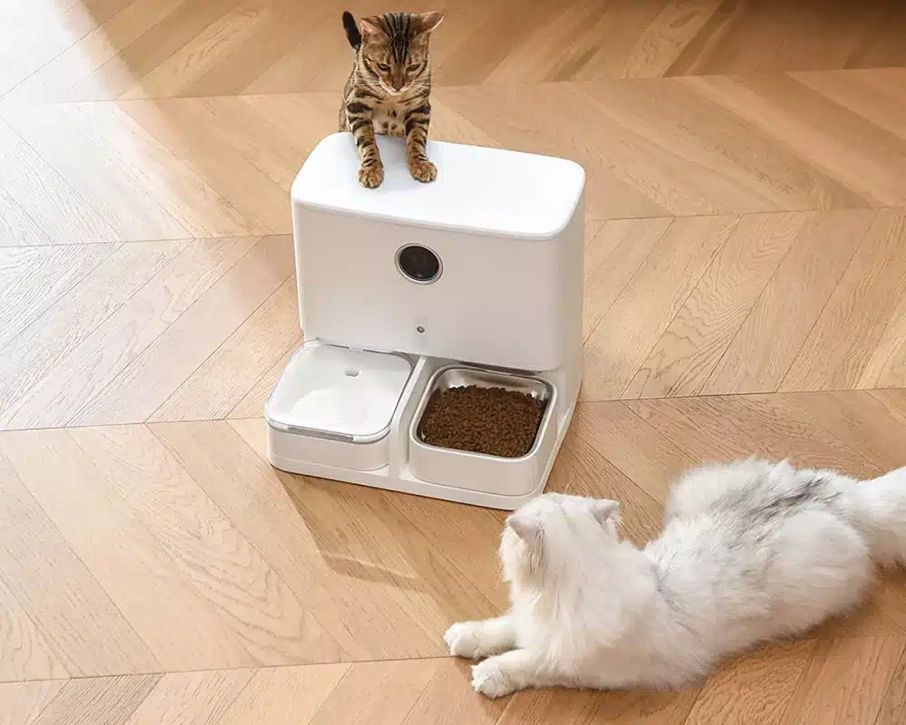 pet automatic feeder