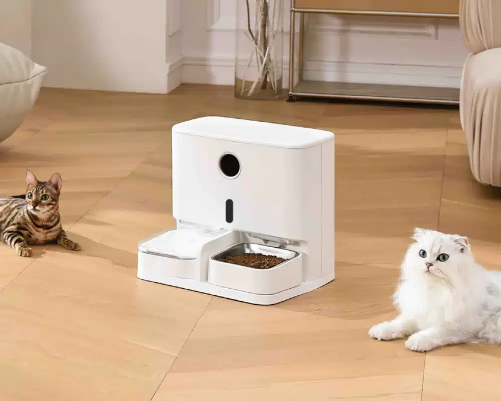 automatic cat feeder pets at home