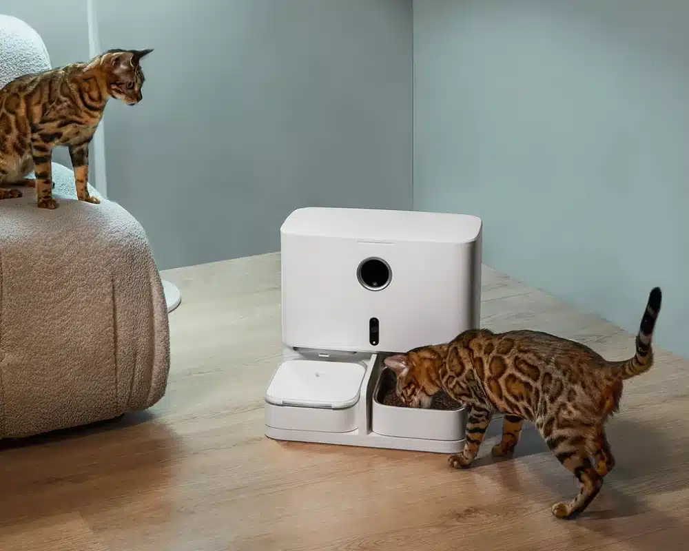 smart pet feeder with camera