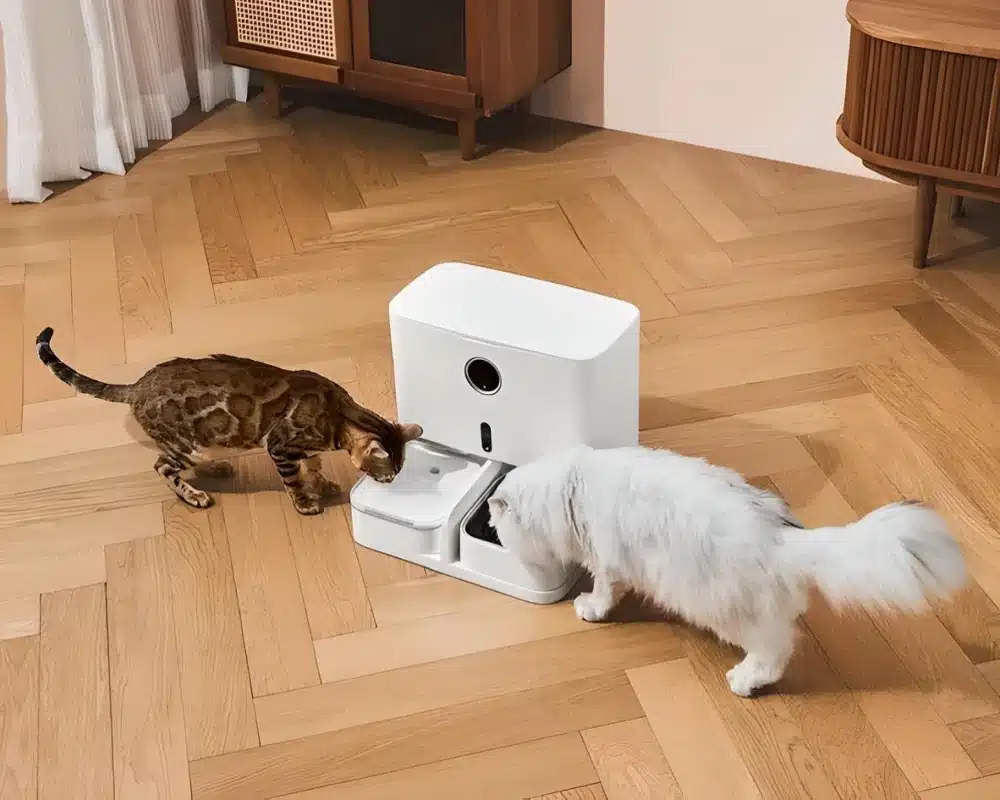 automatic pet food dispenser