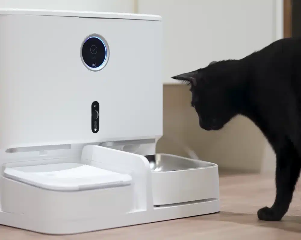 food dispenser for pets