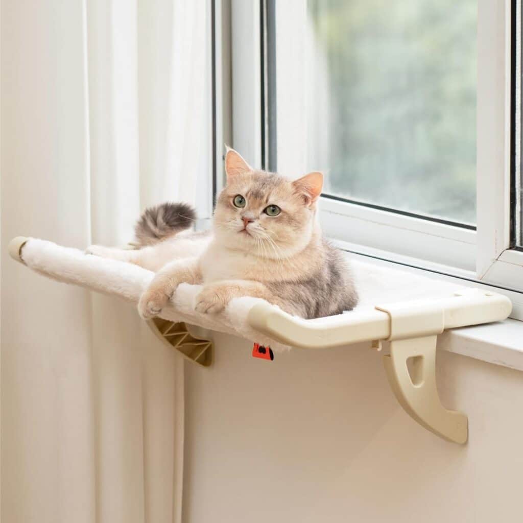 cat hammock hanging bed